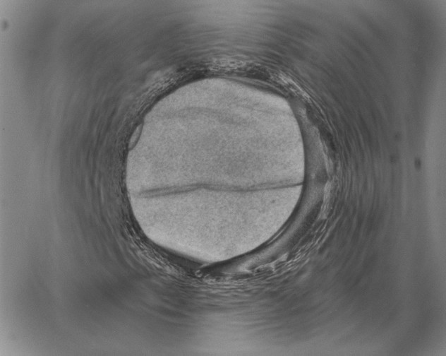 X0000066951153200604211808