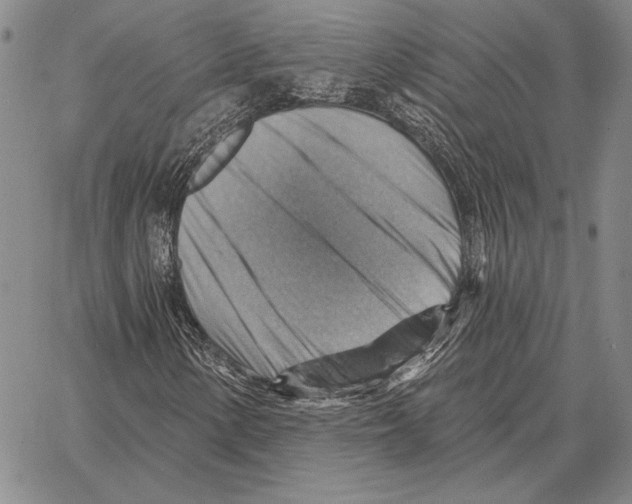 X0000066951154200604211808