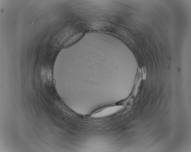 X0000066951155200604211808