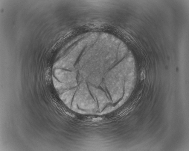 X0000066951156200604211808