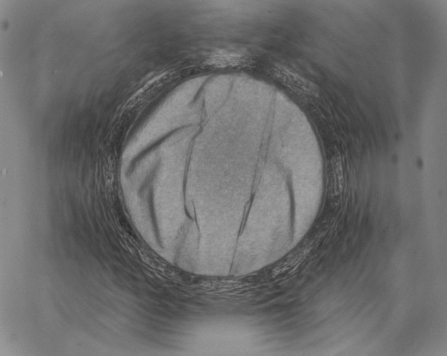 X0000066951158200604211808