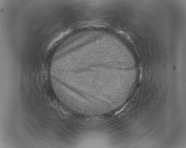 X0000066951159200604211808