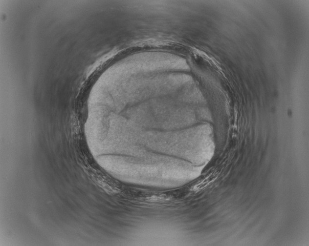 X0000066951160200604211808