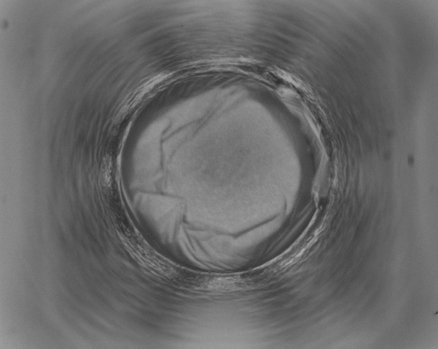 X0000066951161200604211808