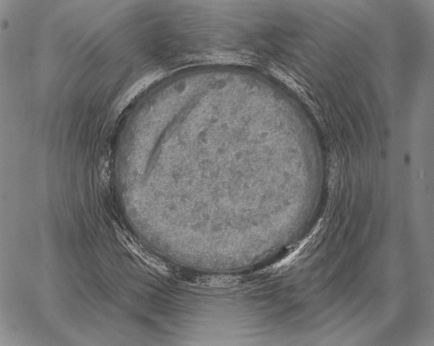 X0000066951163200604211808