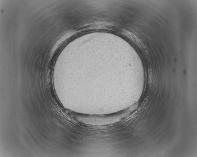 X0000066951164200604211808