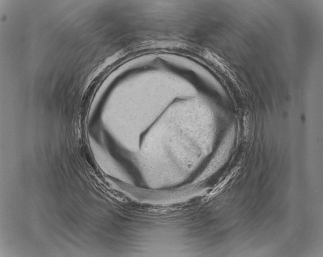 X0000066951165200604211808