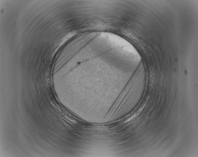 X0000066951170200604211808