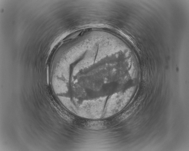 X0000066951171200604211808