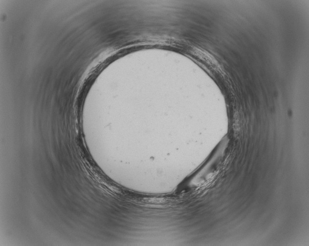 X0000066951172200604211808