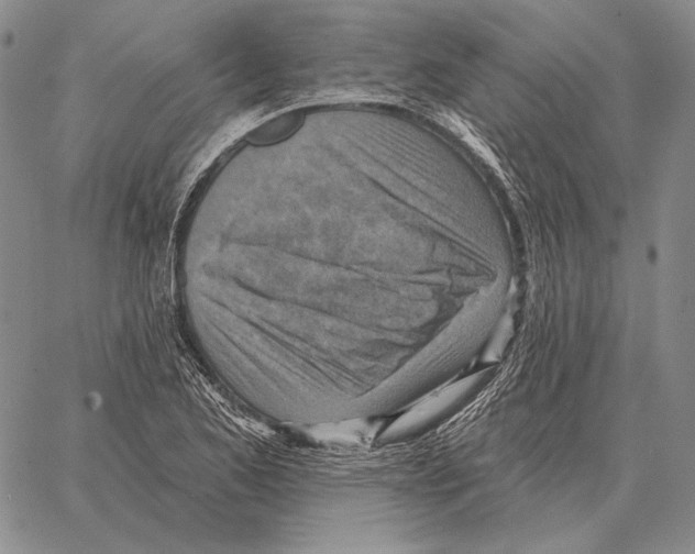 X0000066951173200604211808