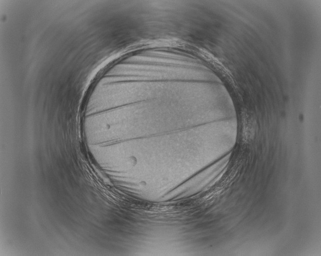 X0000066951174200604211808