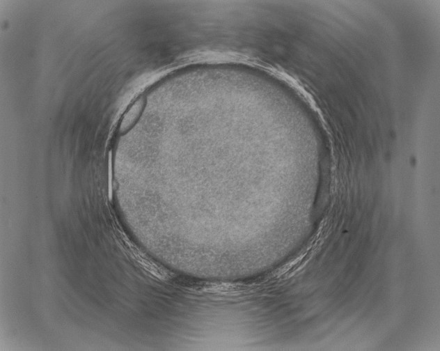 X0000066951175200604211807