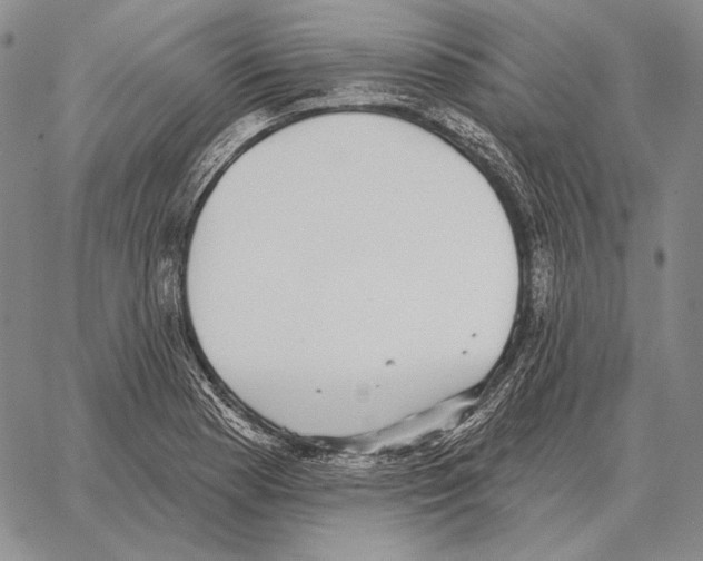 X0000066951177200604211807