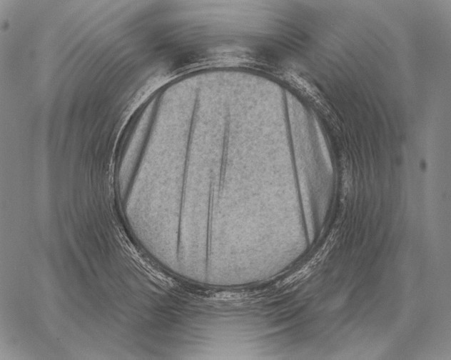 X0000066951178200604211807