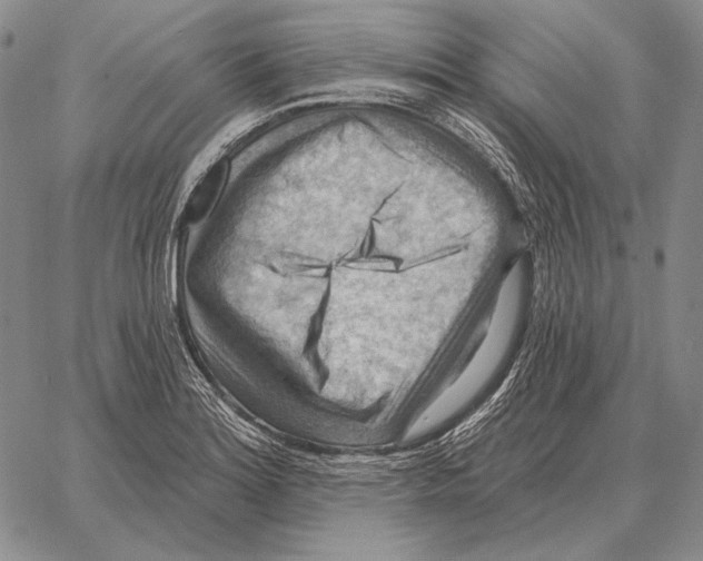 X0000066951180200604211807