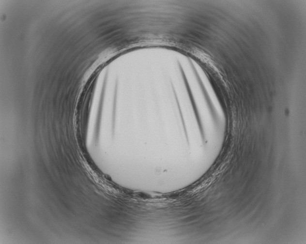 X0000066951181200604211807