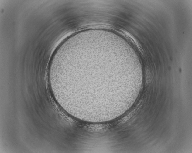 X0000066951182200604211807