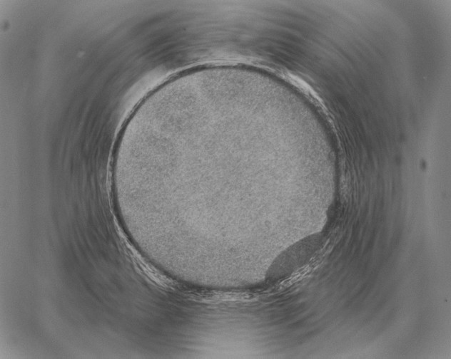 X0000066951183200604211807