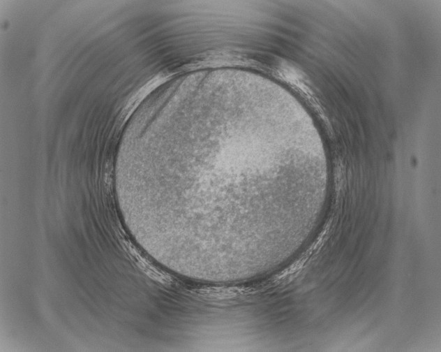 X0000066951185200604211807