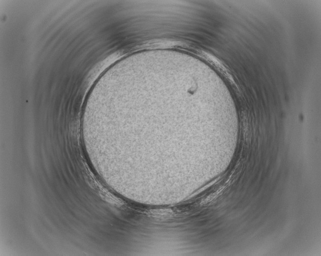 X0000066951186200604211807