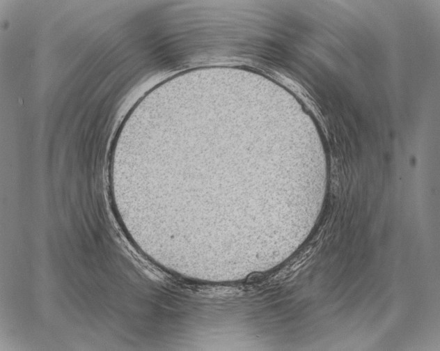 X0000066951187200604211807