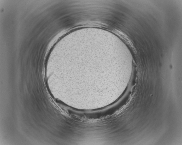 X0000066951188200604211807