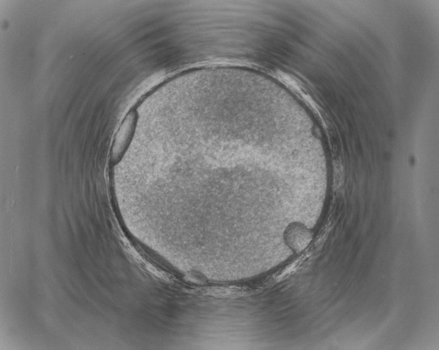 X0000066951189200604211807