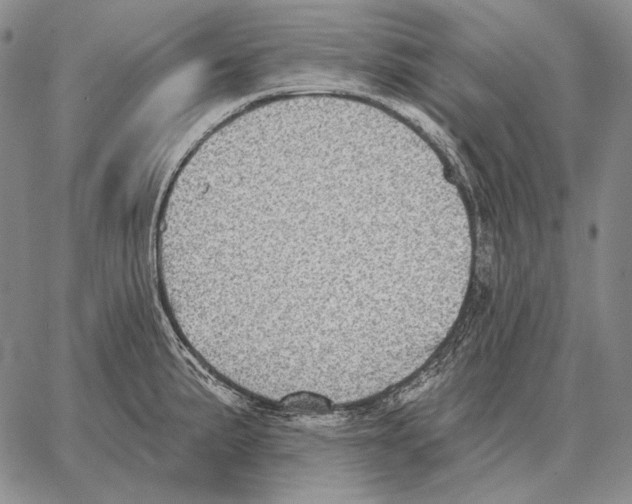 X0000066951191200604211807