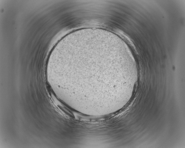 X0000066951192200604211807