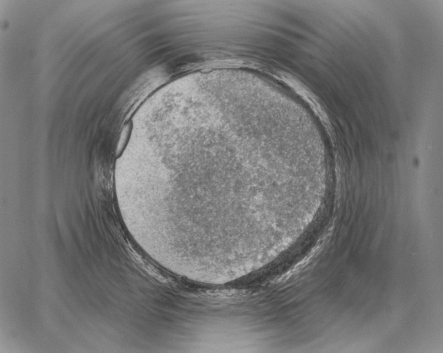 X0000066951193200604211807