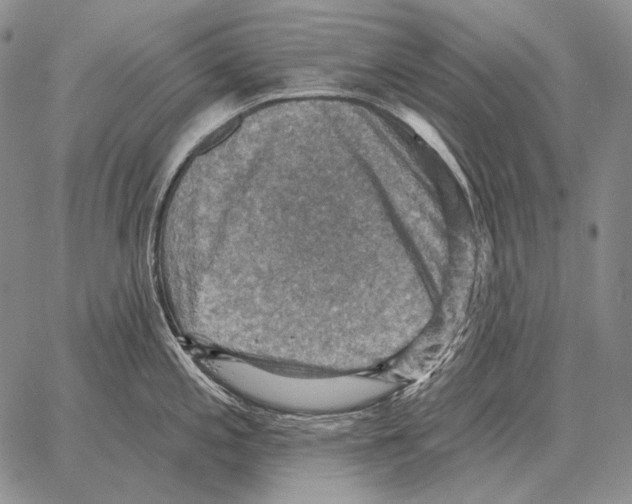 X0000066951197200604211807