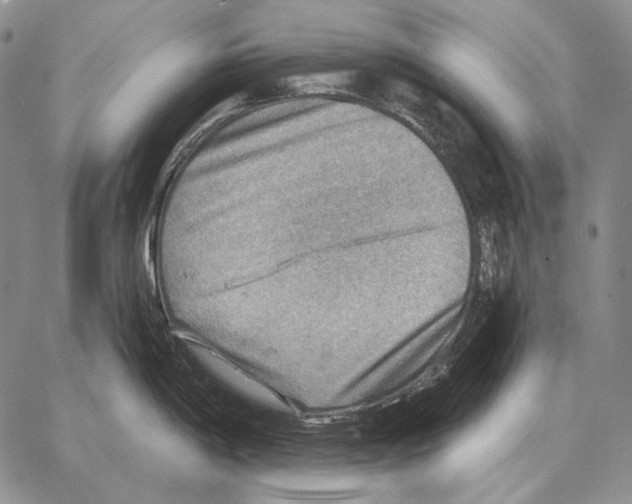 X0000066951198200604211807