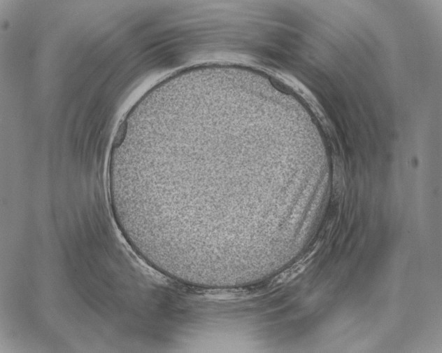 X0000066951199200604211807