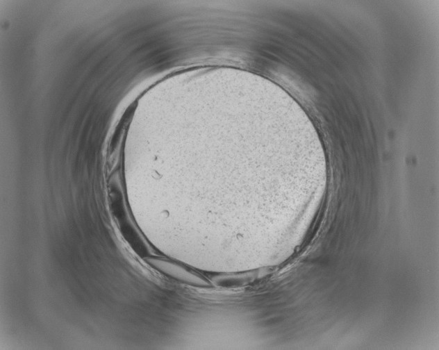 X0000066951200200604211807