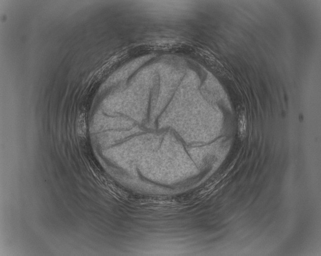 X0000066951204200604211806