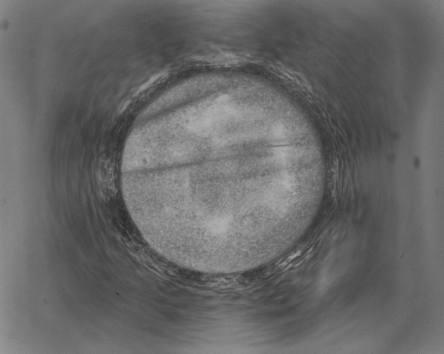 X0000066951205200604211806