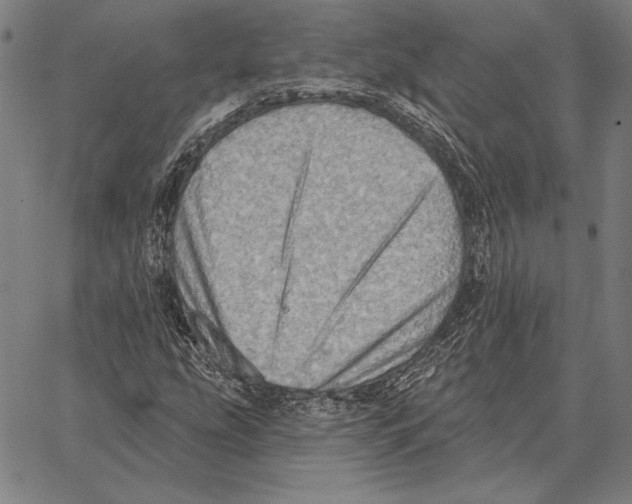 X0000066951207200604211806