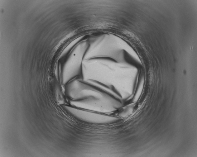 X0000066951210200604211806