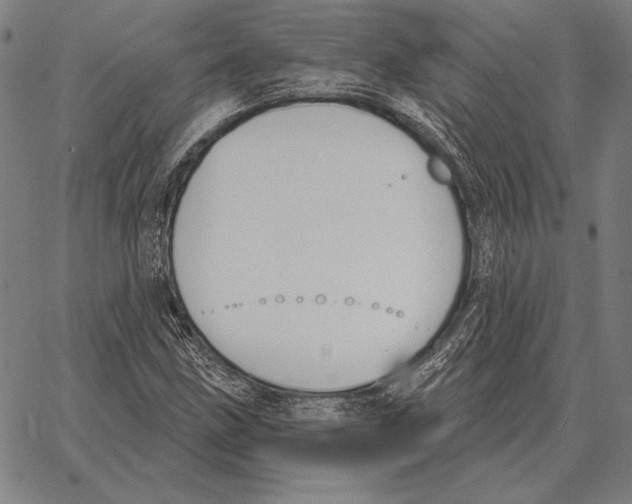 X0000066951211200604211806