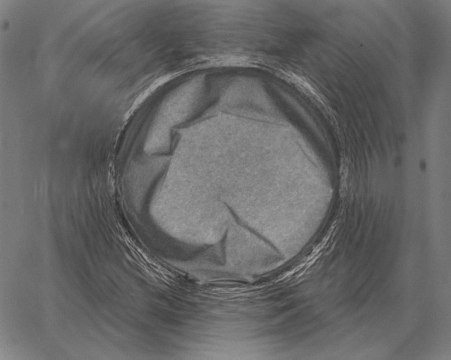 X0000066951212200604211806