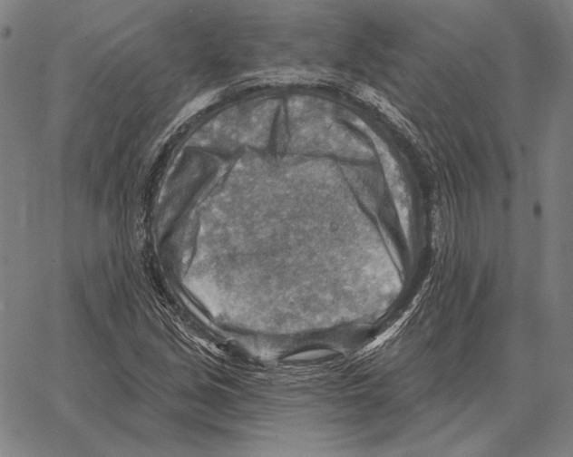 X0000066951213200604211806