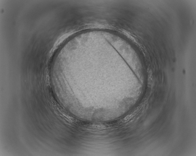 X0000066951215200604211807