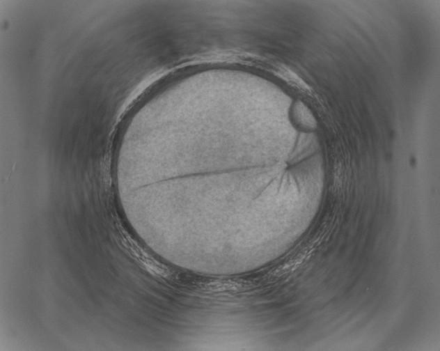 X0000066951216200604211807