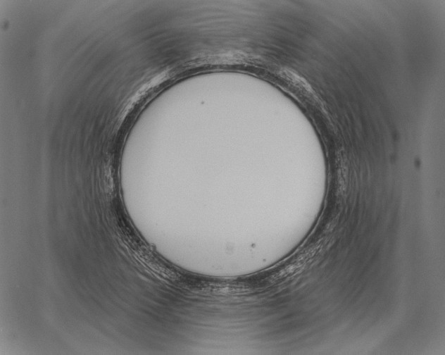 X0000066951218200604211807