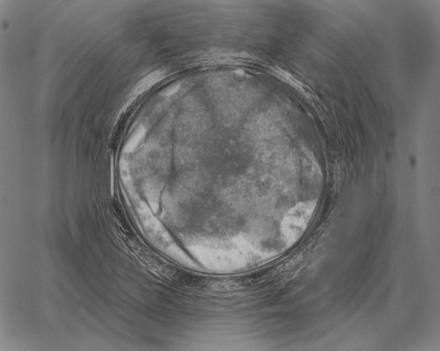 X0000066951219200604211807