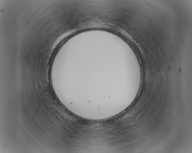 X0000066951222200604211807