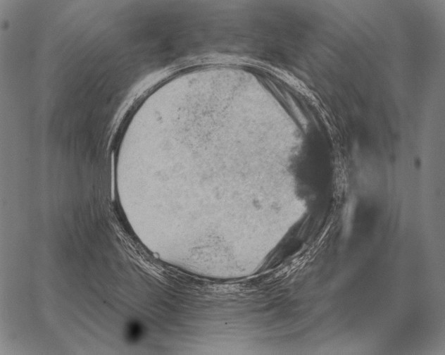 X0000066951223200604211807