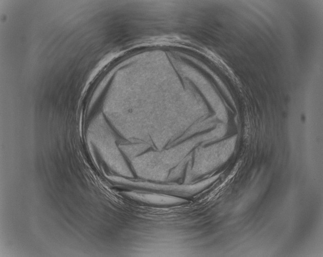 X0000066951224200604211807