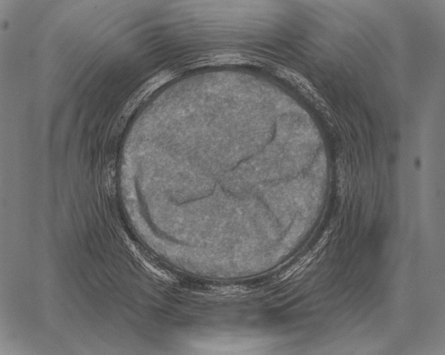 X0000066951225200604211807